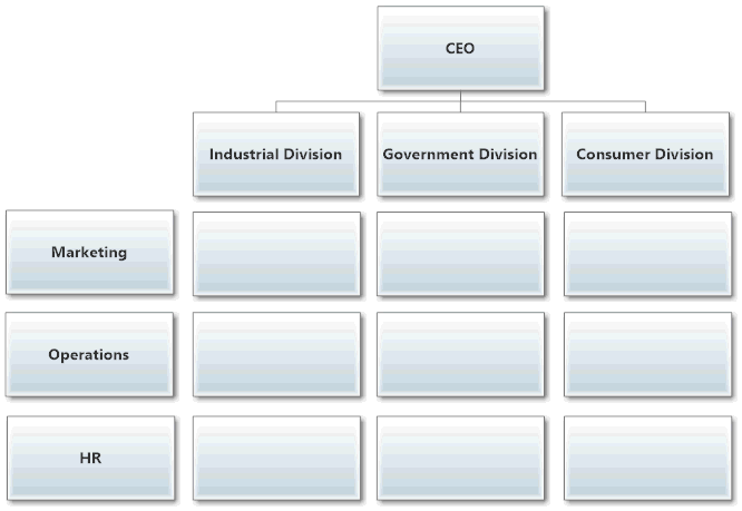 Matrix Organizational Structure Example
