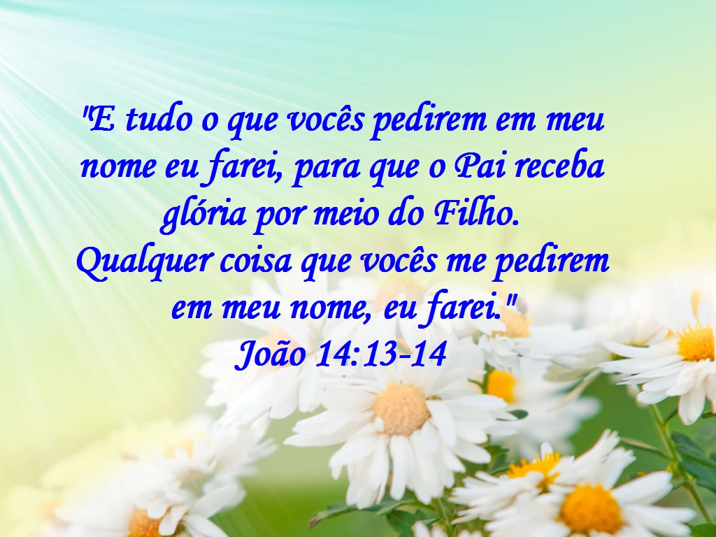 E Tudo O Que Voces Pedirem Em Meu Nome Eu Farei Joao 14 13 14 Mission Venture Ministries Em Portugues