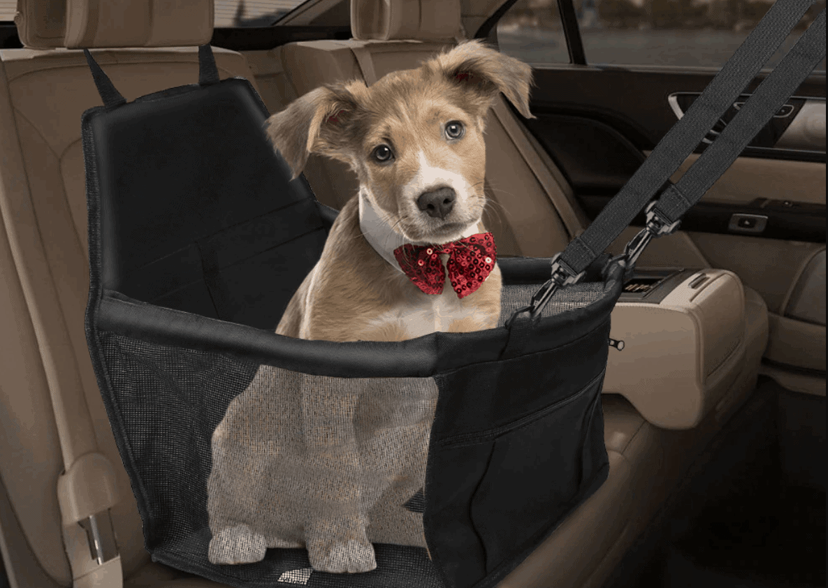 Autos Kutyaules Kiskutyaknak Myhank Hu