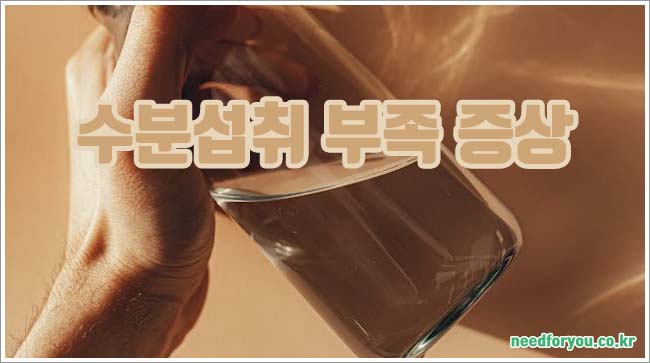 수분 섭취의 중요성: 부족 증상, 이상적인 섭취량 및 효능 안내