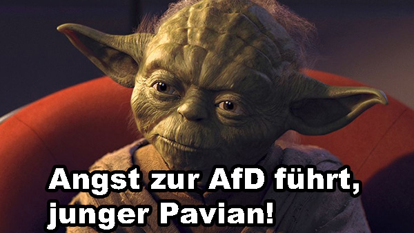 Yoda 338_x_600_jpg