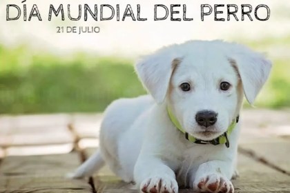 21 de julio, Día Mundial del Perro: el compañero que no pide nada y da todo