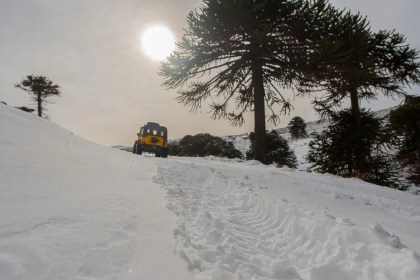 Se suspenden las clases este lunes 28 en Junín de Los Andes por nevadas intensas