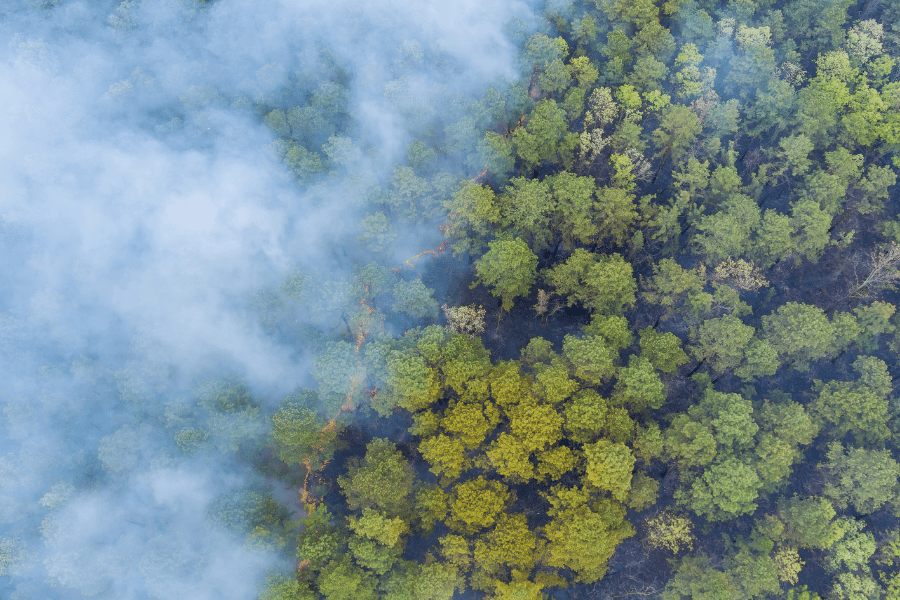 Smoke from a wildfire emerges based on an aerial view photo.