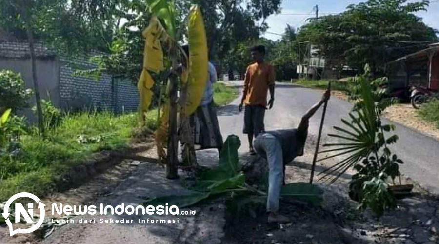 Jalan Rusak dan Berlubang, Warga Sampang Tanam Pohon Pisang di Jalan  Penghubung 3 Kecamatan » News Indonesia