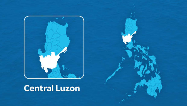 Central Luzon provinces warned vs rat, insect infestations