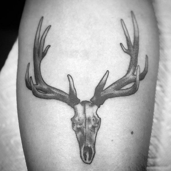 90 Elk Tattoo Ideas For Men - Cervidae Animal Designs 599_x_599_jpg