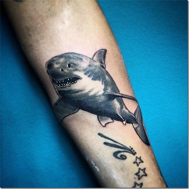 Sharks Tattoos (The Most Effective Footage!) - Nexttattoos 604_x_604_jpg