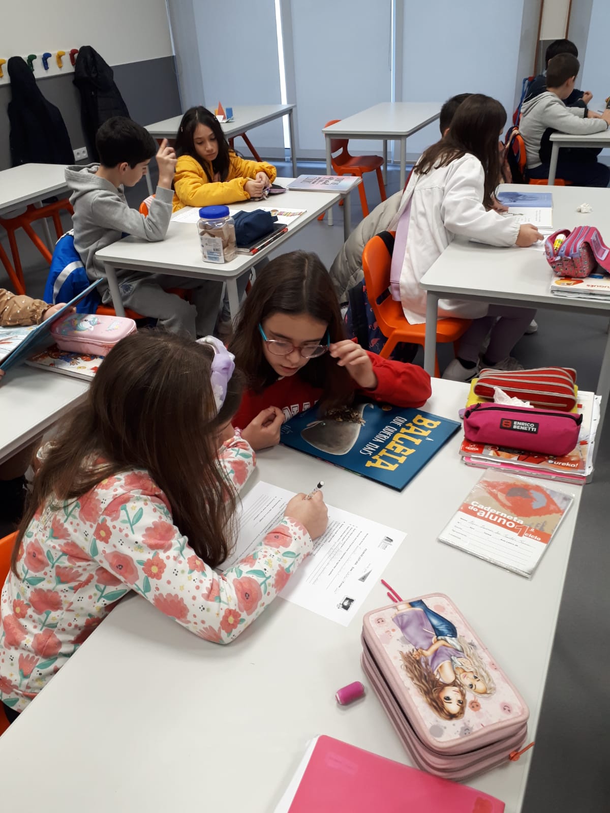 Educação Literária: Apresentação e divulgação das atividades – nos de leitura