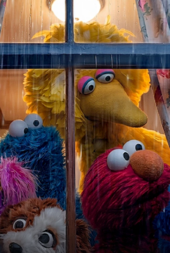 Storm on Sesame Street