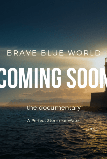 Brave Blue World