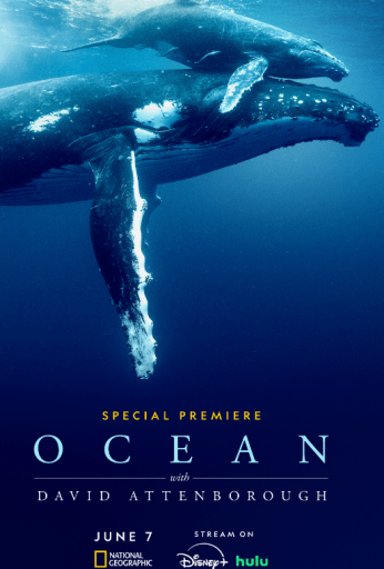 Ocean with David Attenborough