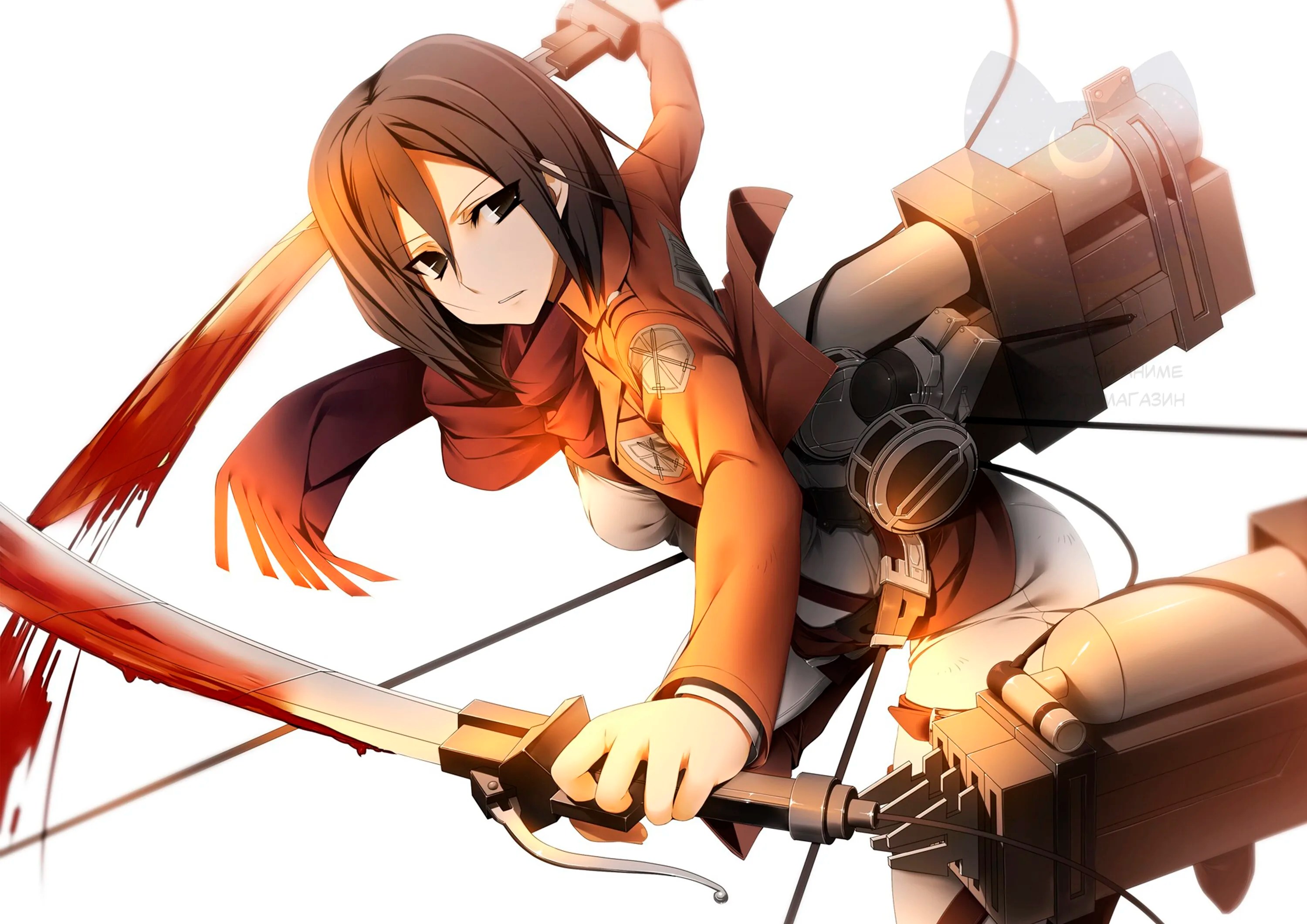 Beautiful Girl Swordsman Mikasa