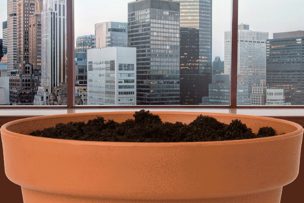 You May Soon Be Able to Grow Your Own Ozempic at Home