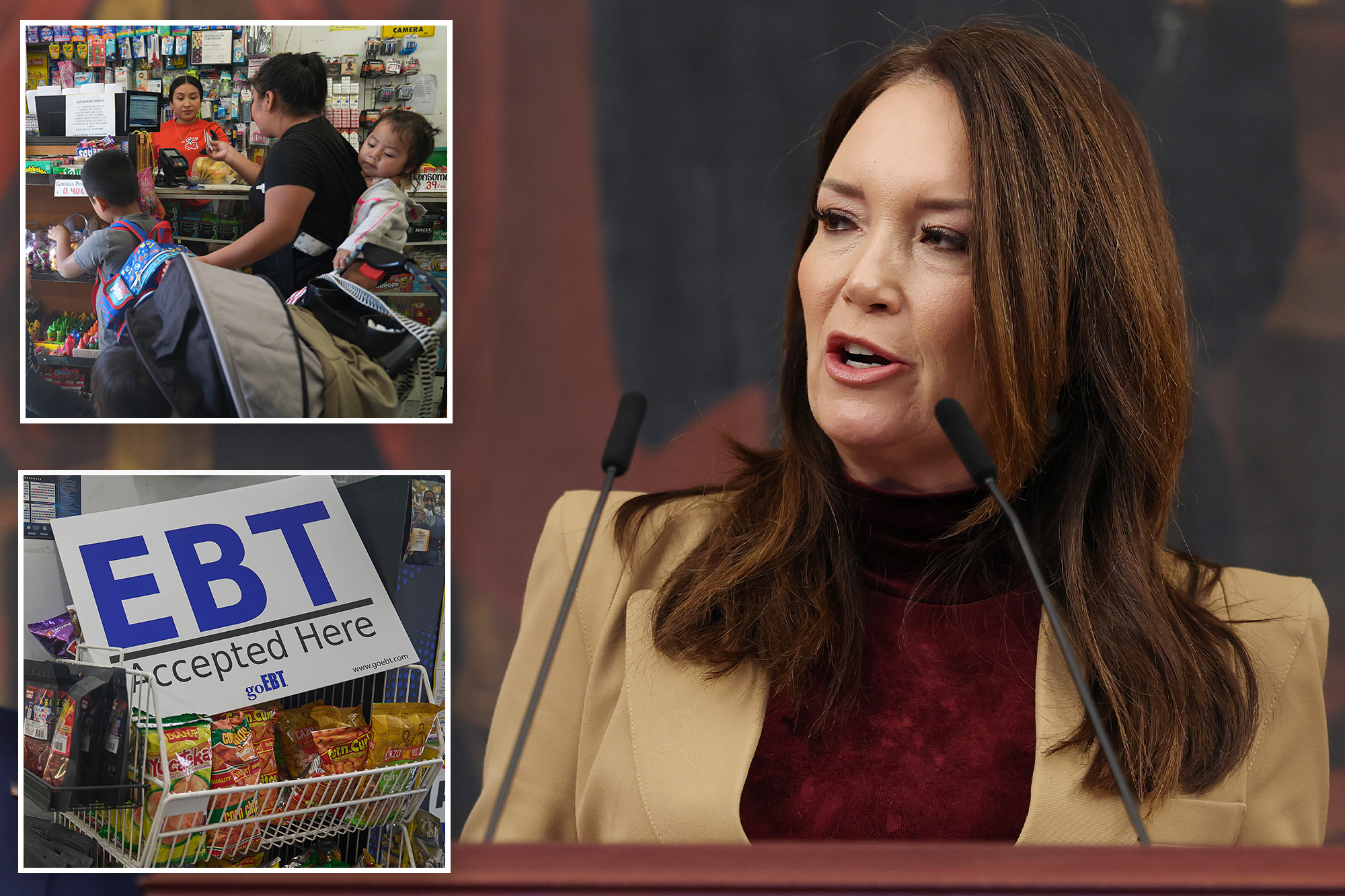 USDA chief says ‘everyone’ will have to reapply for SNAP benefits after claiming rampant fraud