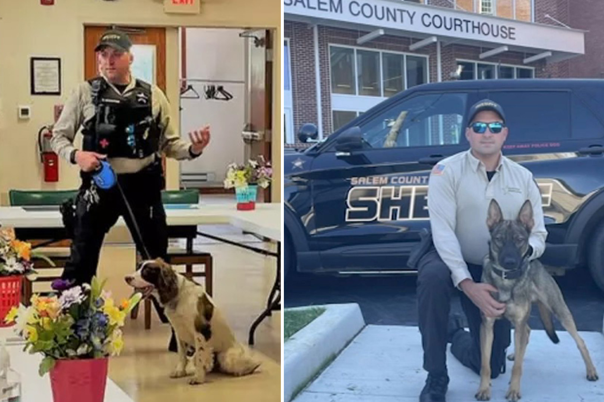 NJ cop in charge of K-9 unit charged after leaving two police dogs to die in hot car for 7 hours: report