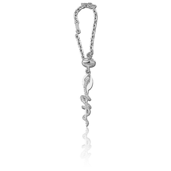Porte Clefs Caducee Medecin Porte Clefs Caducee En Argent Ocarat