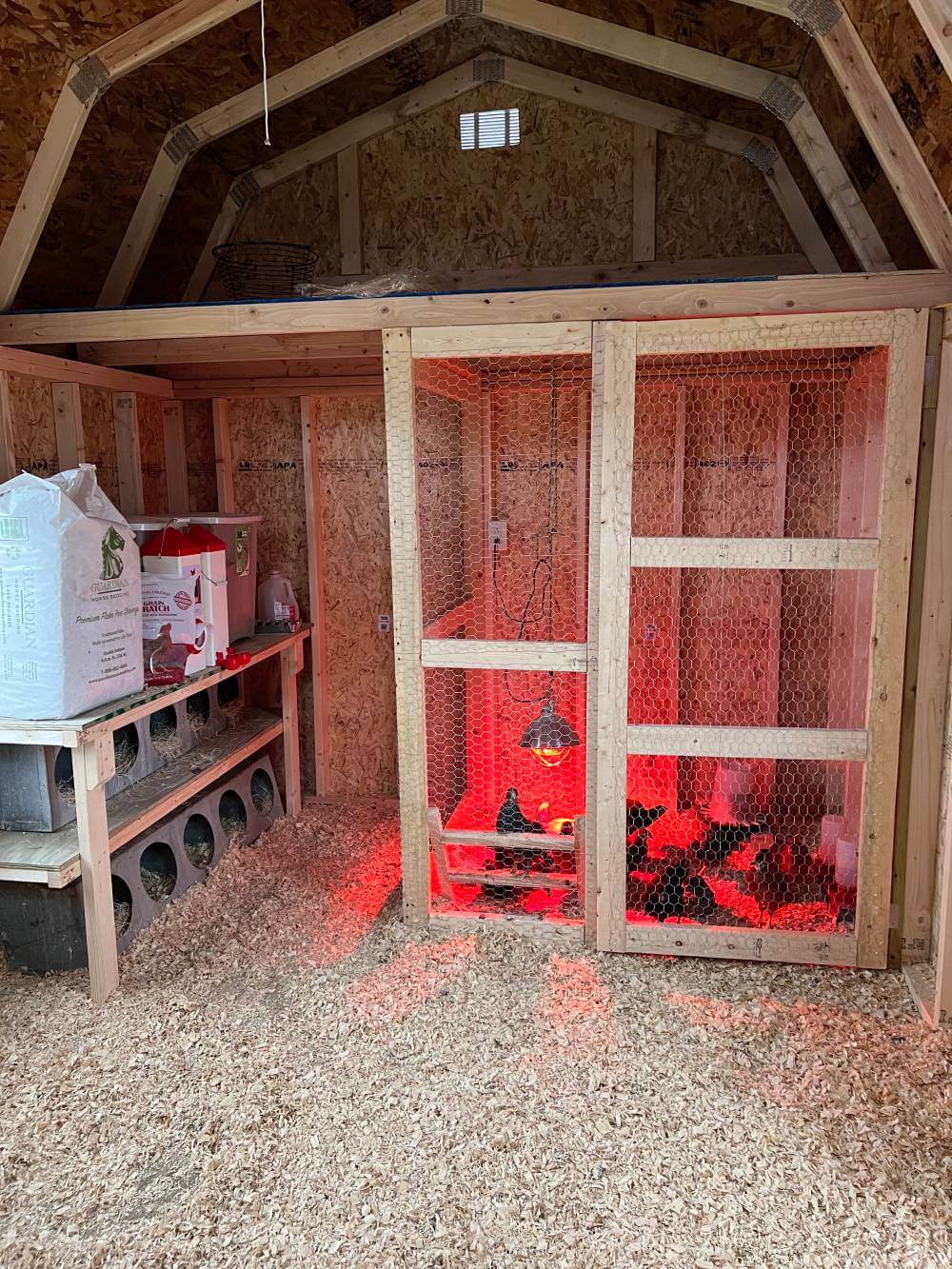Chicken coop shed inside