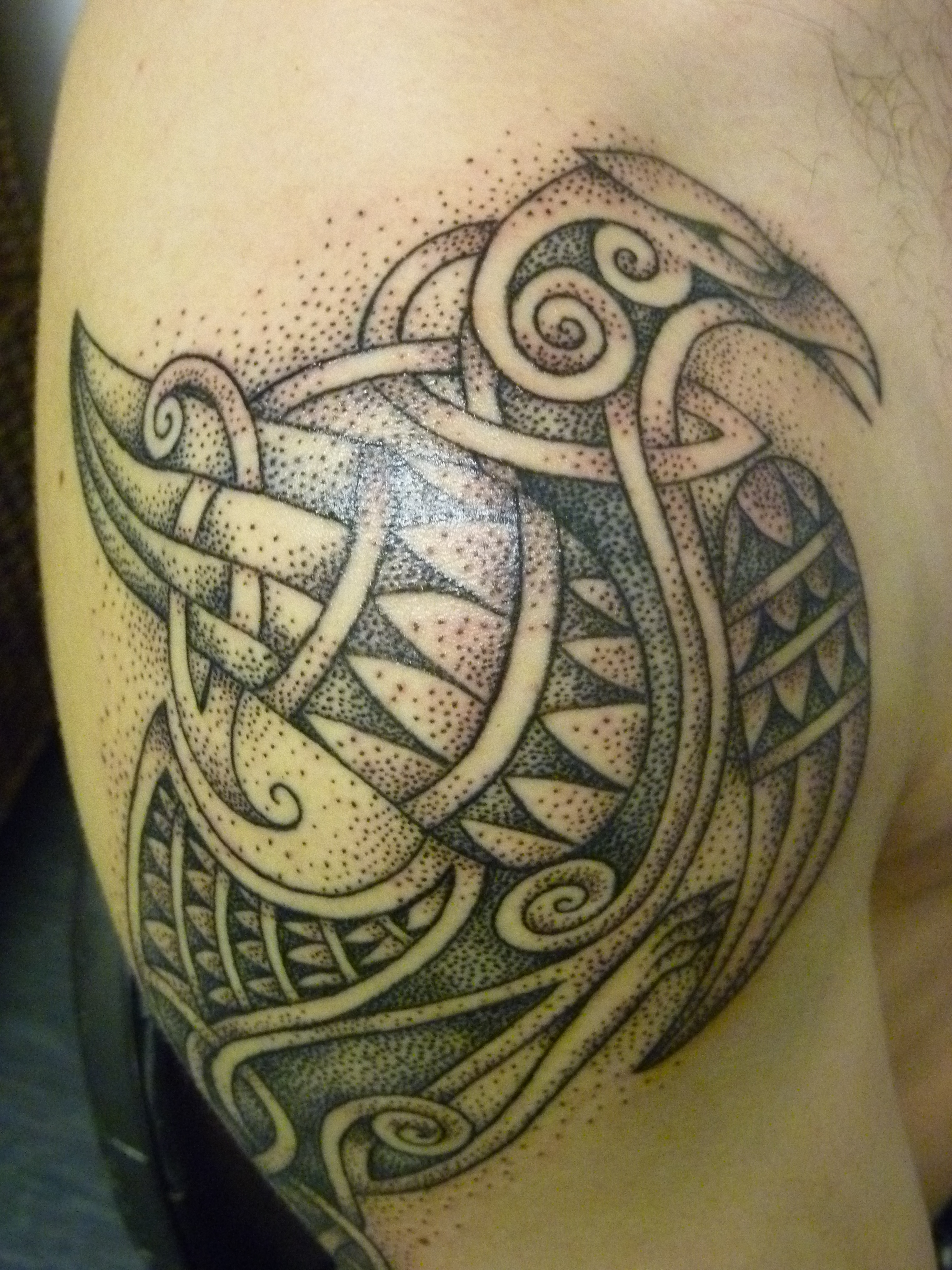 Celtic Eagle | Olomhe' Tattoo 4320_x_3240_jpg