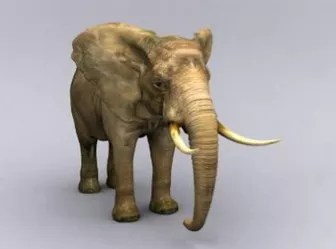 Elephant Free 3d Model 3ds Max Open3dmodel 20546