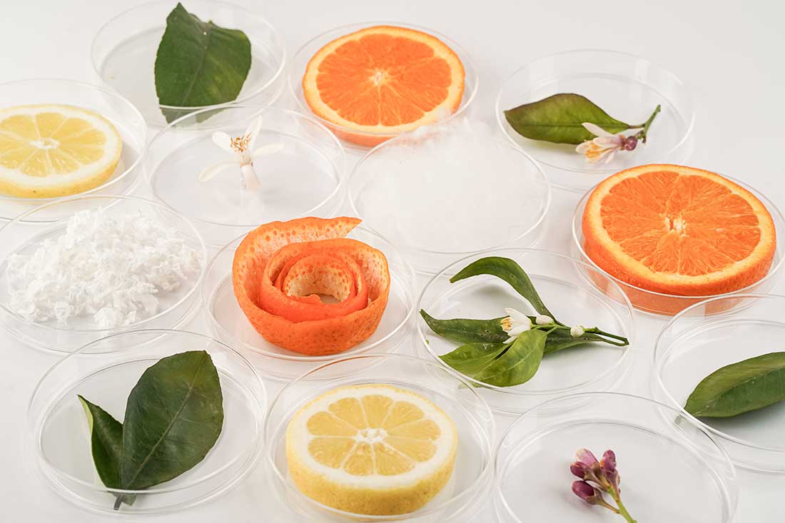 Orange Fiber • Sustainable Fabrics From Citrus Juice By-Products 733_x_1100_jpg