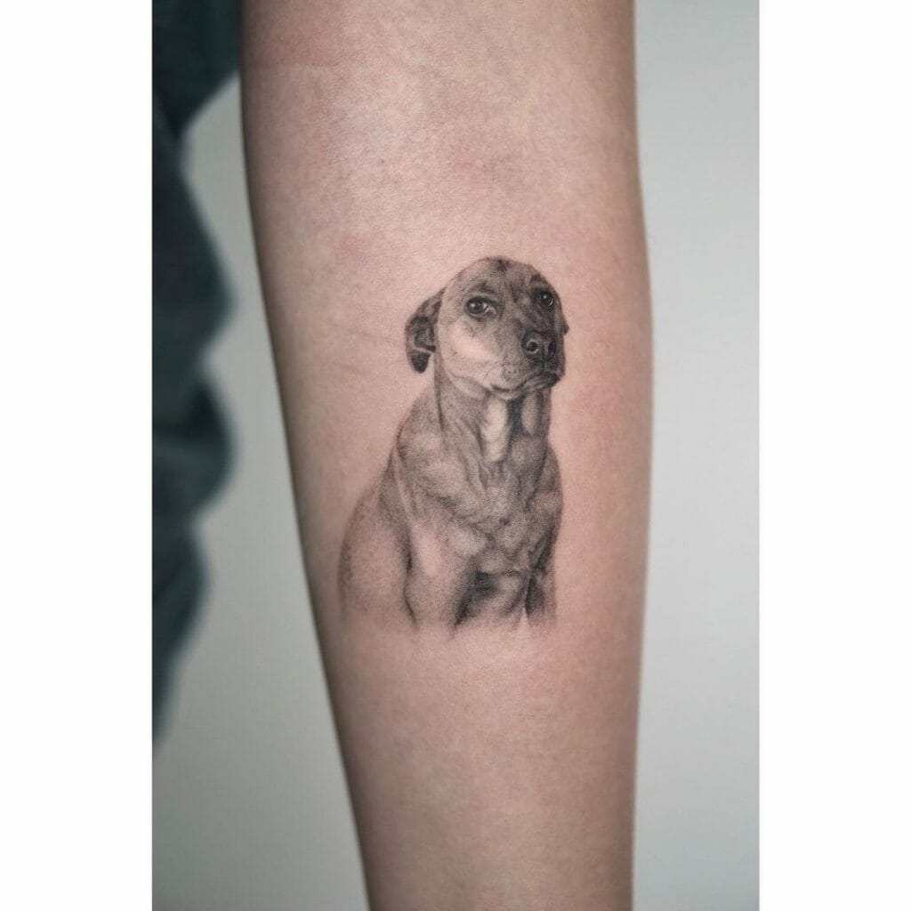 10 Best Labrador Tattoo Ideas That Will Blow Your Mind! | Outsons | Men's Fashion Tips And Style Guides 1024_x_1024_jpg