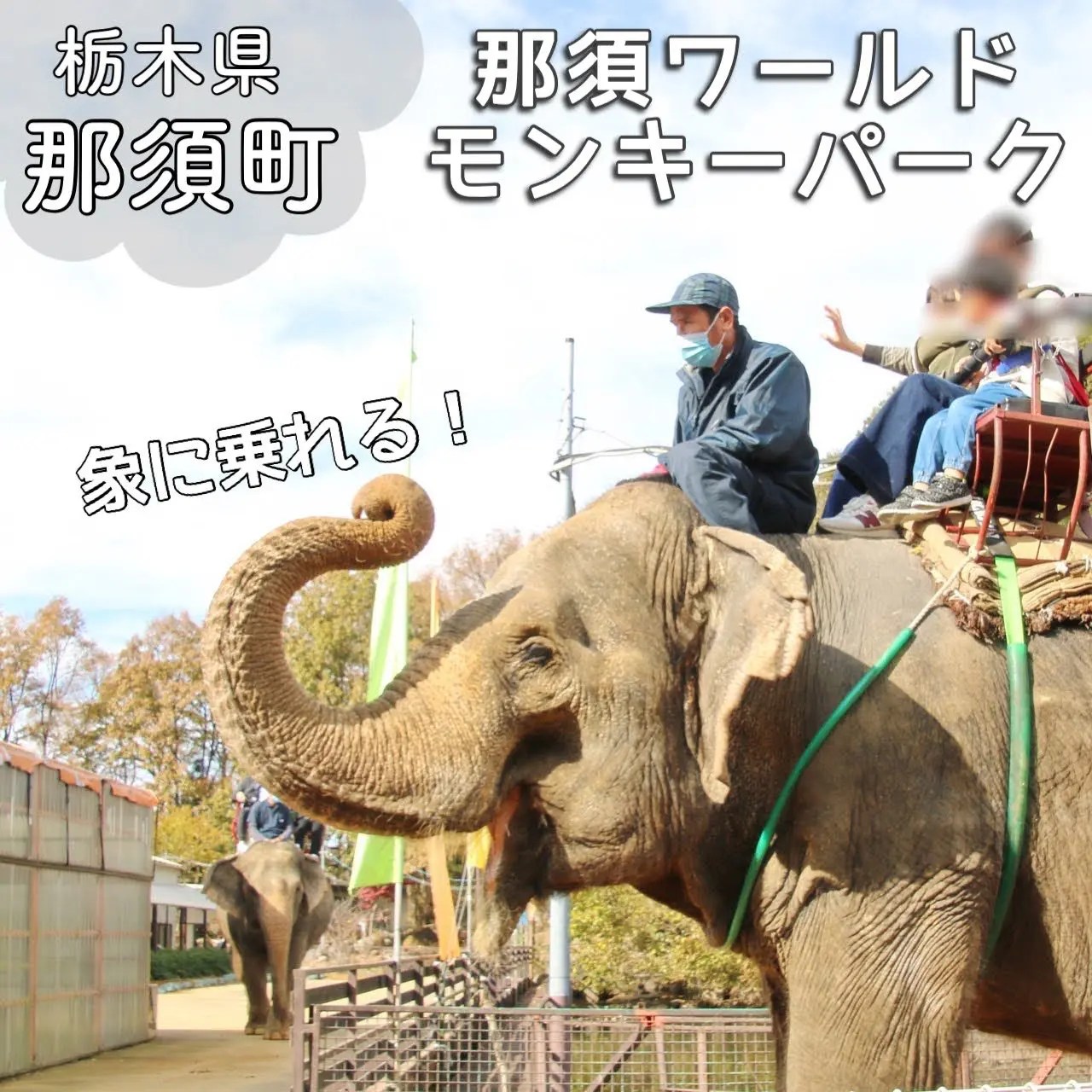 那須サファリパーク・ワールドモンキーパーク入園券 （那須ワールドモンキーパークを完全ガイド！子どもが喜ぶ3つの貴重な体験とは）