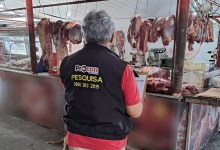 Carne e ovos têm variação de até 203% nos preços, revela pesquisa do Procon na Capital