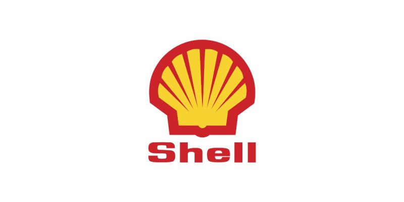 me shell ndegeocello net worth - Ilustrasi 2
