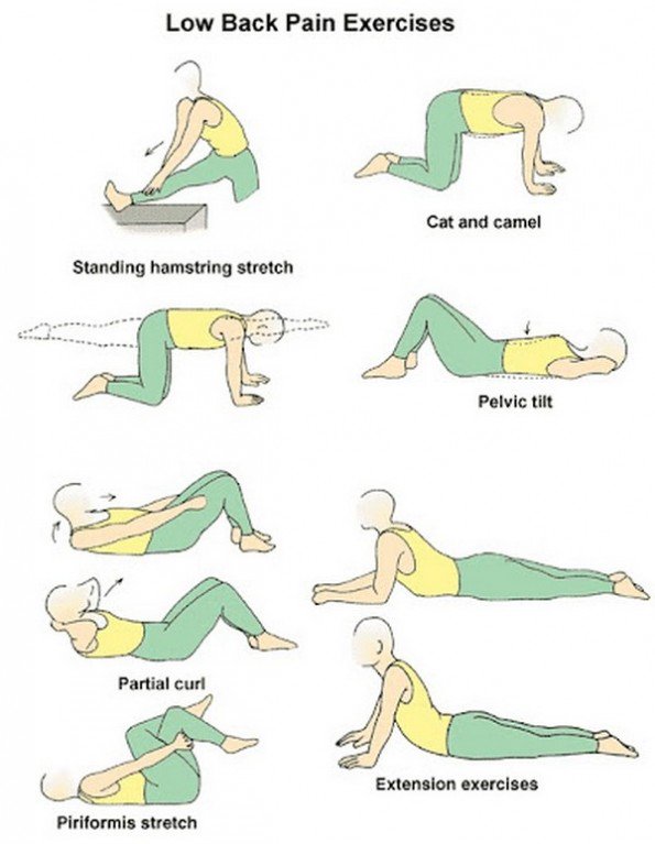 Yoga Poses Back Pain On Twitter Yoga Poses For Back Pain Good For Seniors Too Https T Co Twpskzysui Yoga Backpain