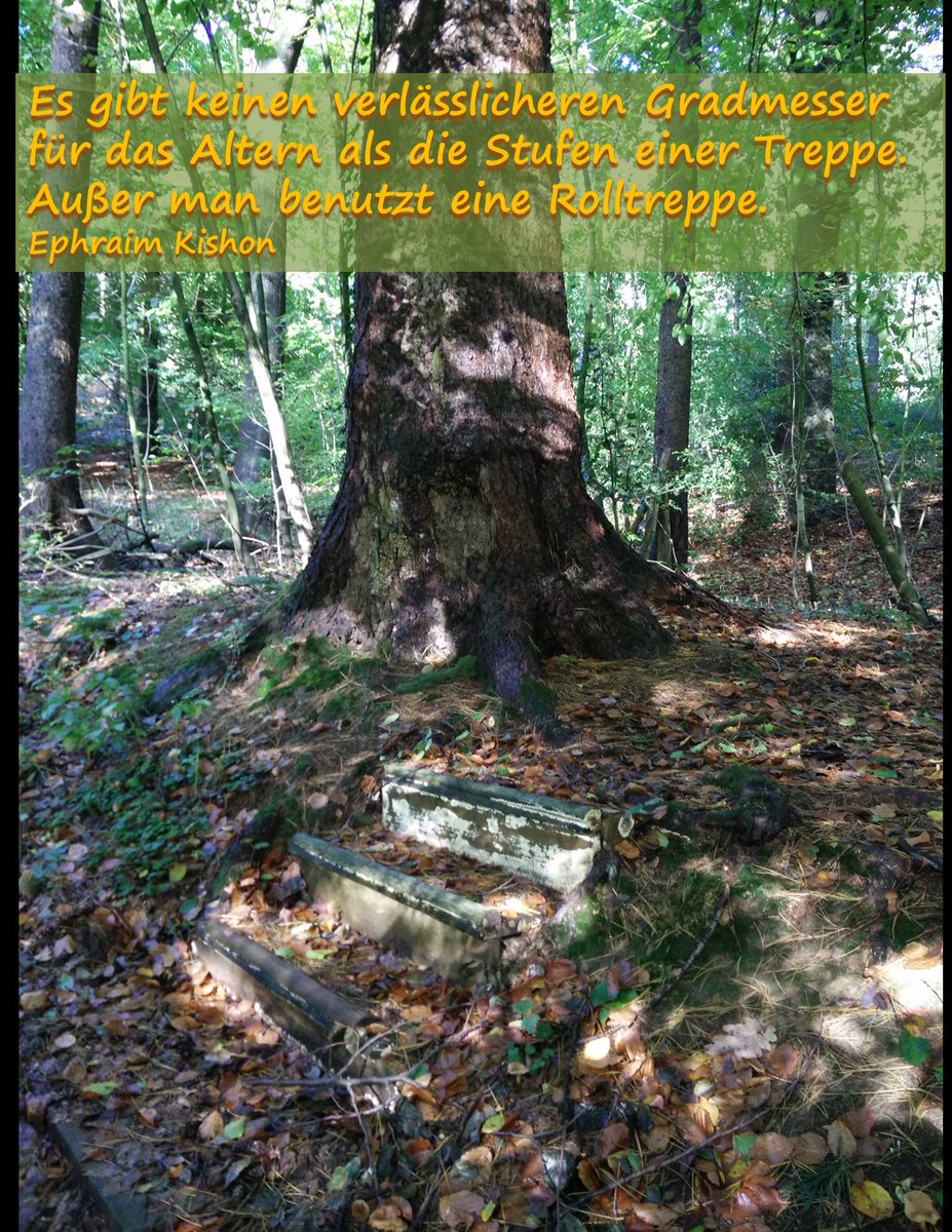 Kraftbilder Net On Twitter Treppe Stufen Alter Wald Natur Zitat Kishon