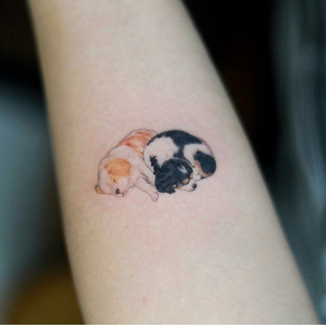 Mini Tattoos Sur Twitter : "Two Dogs #Tattoo 🐶🐶 Https://T.co/Pdhnl0Pymq" / Twitter 1080_x_1080_jpg