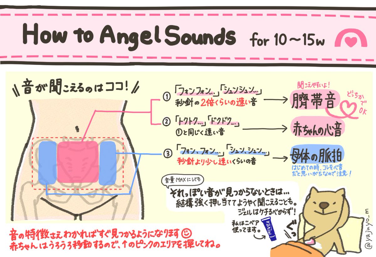 臍帯 音