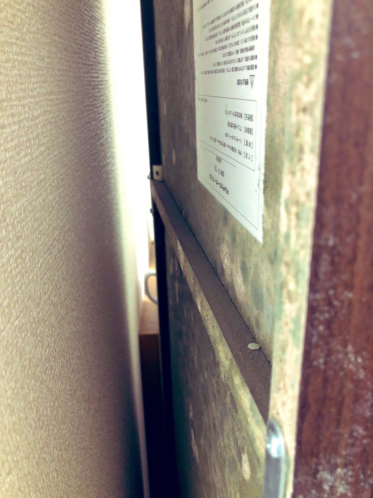 橘こっとん on X: (カビ注意)例のニトリ本棚、表と内はカビ掃除した(すぐ復活した)けど裏側どうなってんだろうなと思って覗いたら地獄だった  t.co1MLifetfqI  X