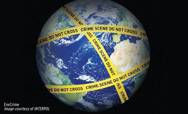 France Onu Vienne On Twitter 2 The Resolution Calls Upon States To Make Crimes That Affect The Environment Serious Crimes As Defined In The Untoc Convention To Ensure Effective International Cooperation With Ios