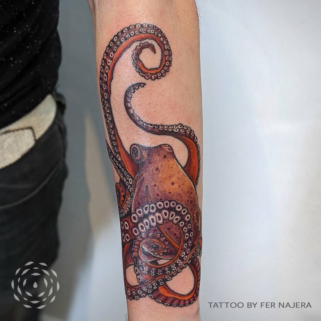 Liquid Amber Tattoo On Twitter: "Giant Pacific Octopus Tattoo By Fer Najera 🐙 #Octopustattoo #Colourtattoo #Marinelife #Vancouvertattooartist Https://T.co/Or2Ezjsdvn" / Twitter 1080_x_1080_jpg