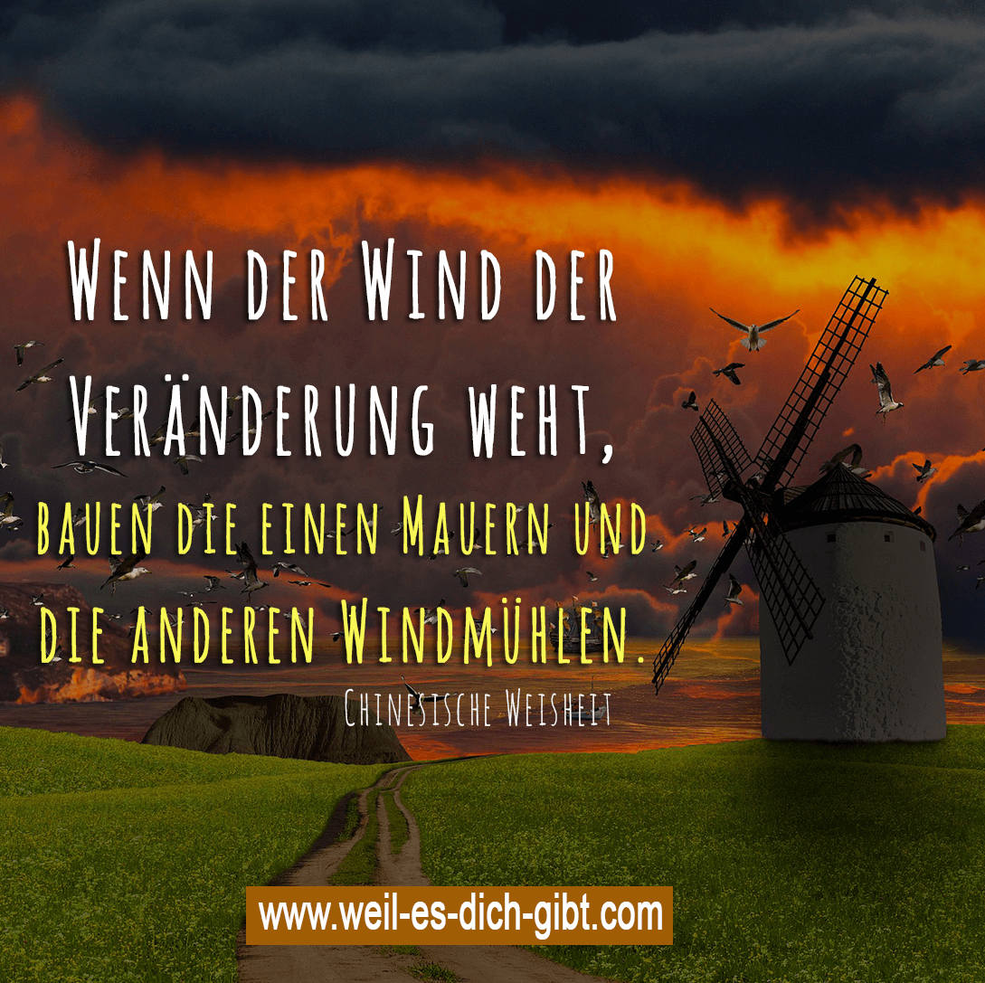 🌼 Weil Es Dich Gibt On Twitter: "🌬 Mauern Und Windmühlen | Chinesische Weisheit | Veränderung | Leben | Achtsamkeit: Https://T.co/Jq48Mkgxle # Spruch #Zitat #Leben #Veränderung #Germanmediart Https://T.co/Xurhlm7Zry" / Twitter 1087_x_1089_png