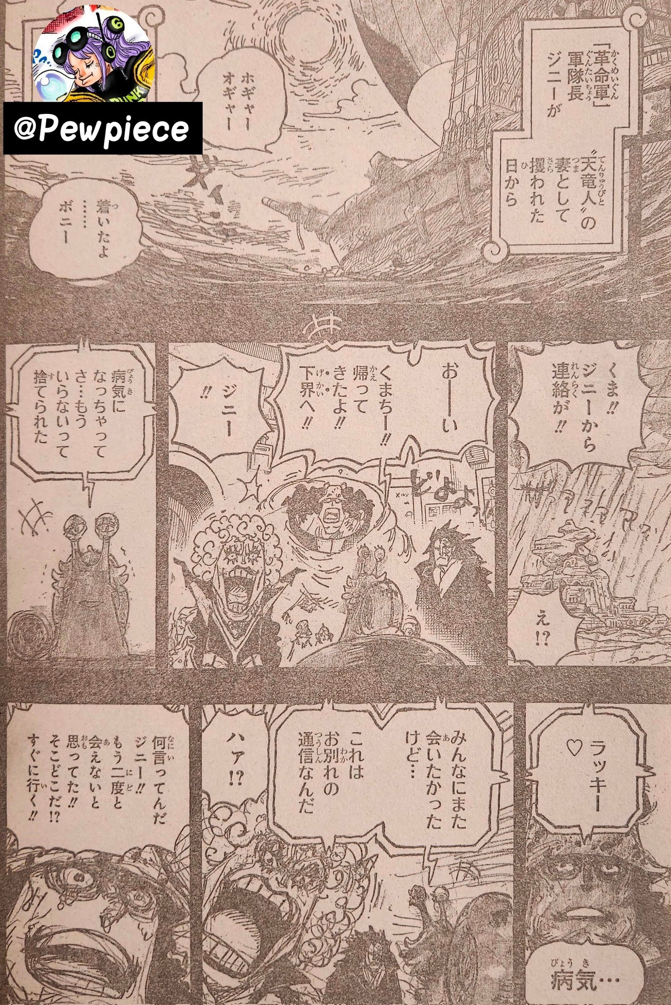 One piece raw