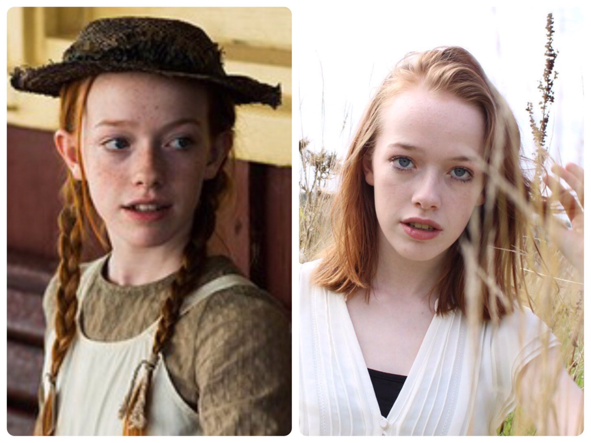 エイミー ベス マクナル ティ