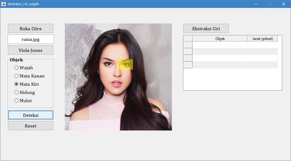 Ekstraksi Ciri Wajah Menggunakan Algoritma Viola-Jones | Pemrograman Matlab