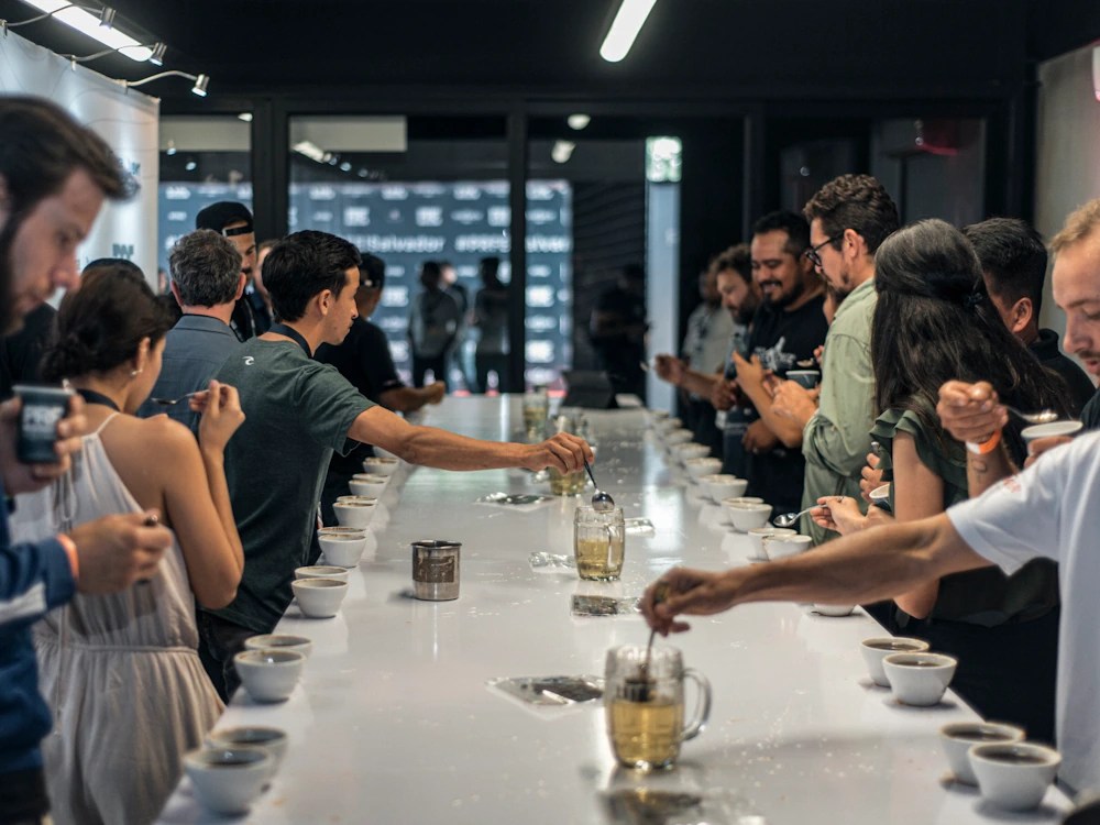healthy brew hub a cupping at prf honduras