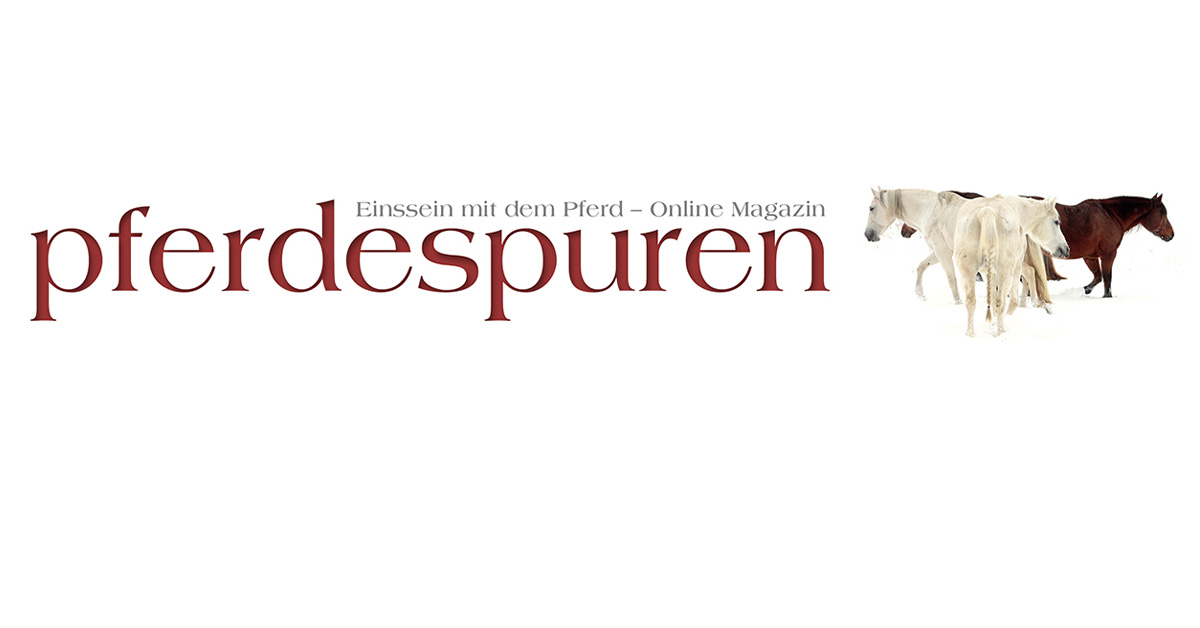 Pferde – Spiegel Unserer Seele 628_x_1200_jpg
