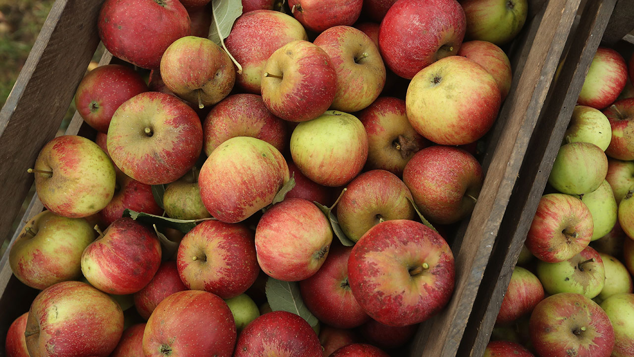 Giant Eagle recalls apple slices 