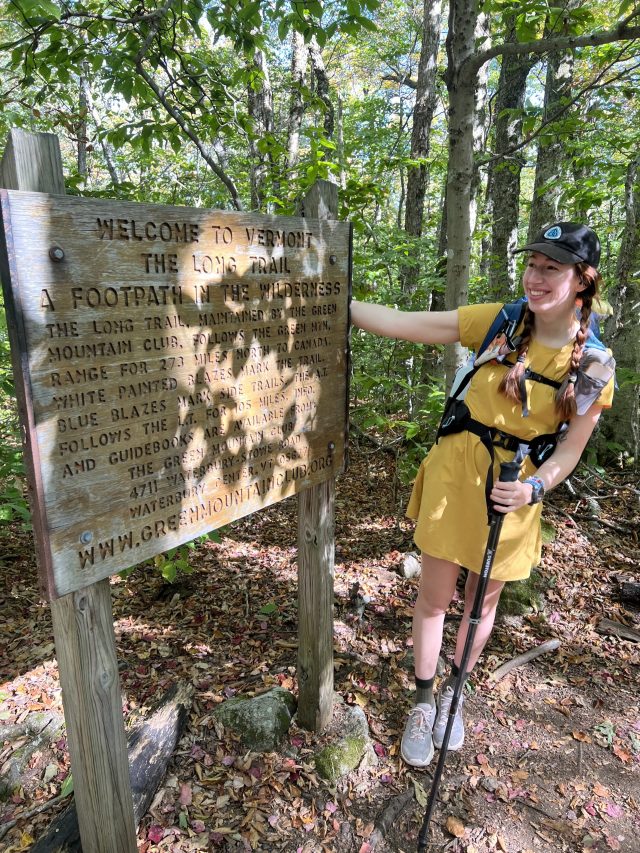 Attacked by bees on the long path