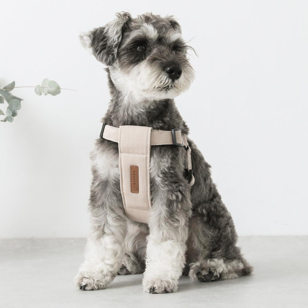 おしゃれな商品勢揃い！犬用ハーネスおすすめ20選！負担が少ない形・人気ブランドも | Pickys Life