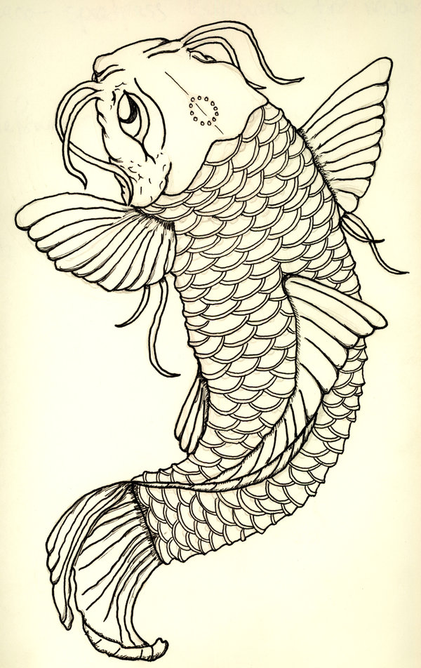 Koi Fish Tattoo Design Drawing Free Image Download
