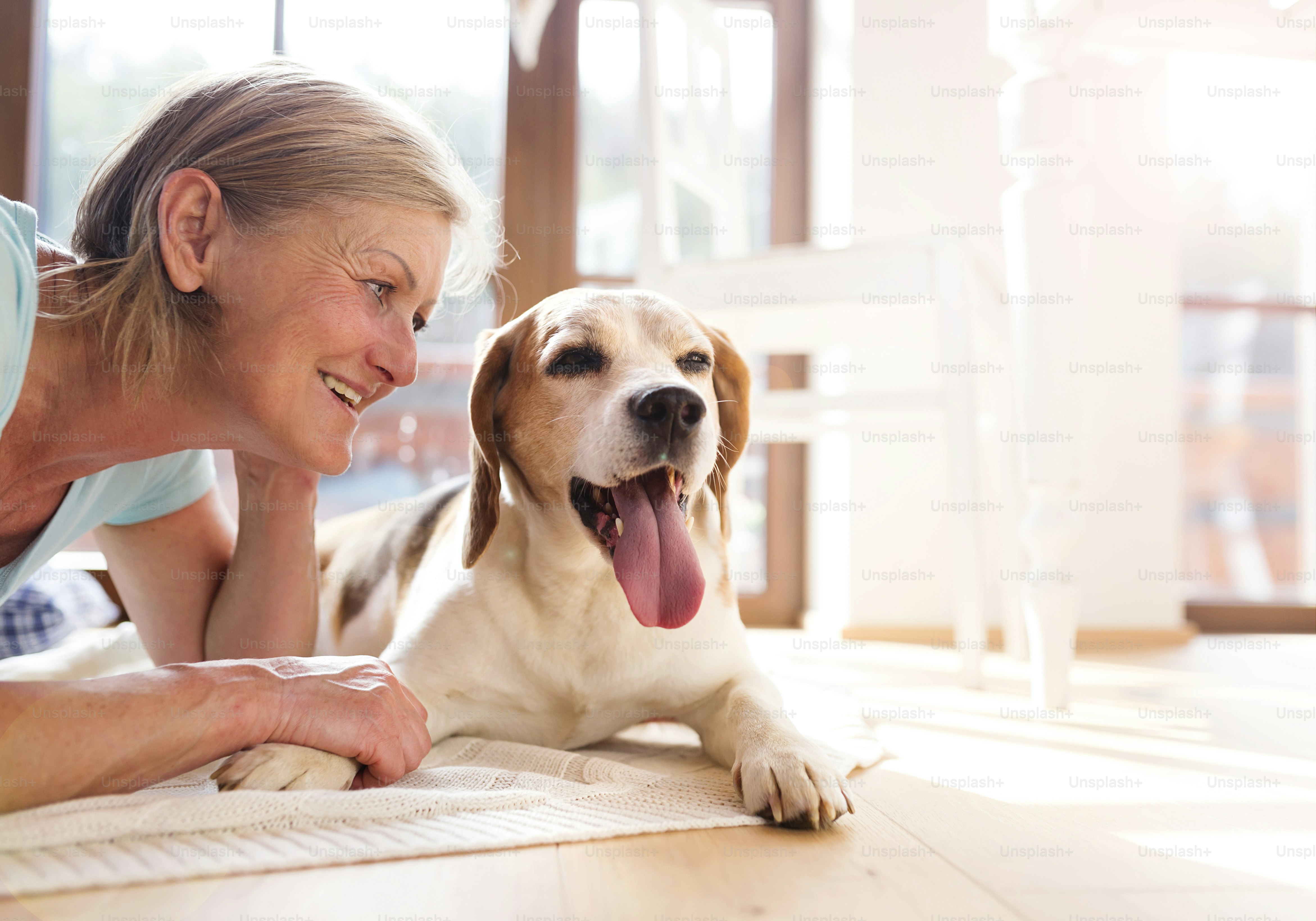 10 Daily Habits That Boost Your Pets’ Brain Power