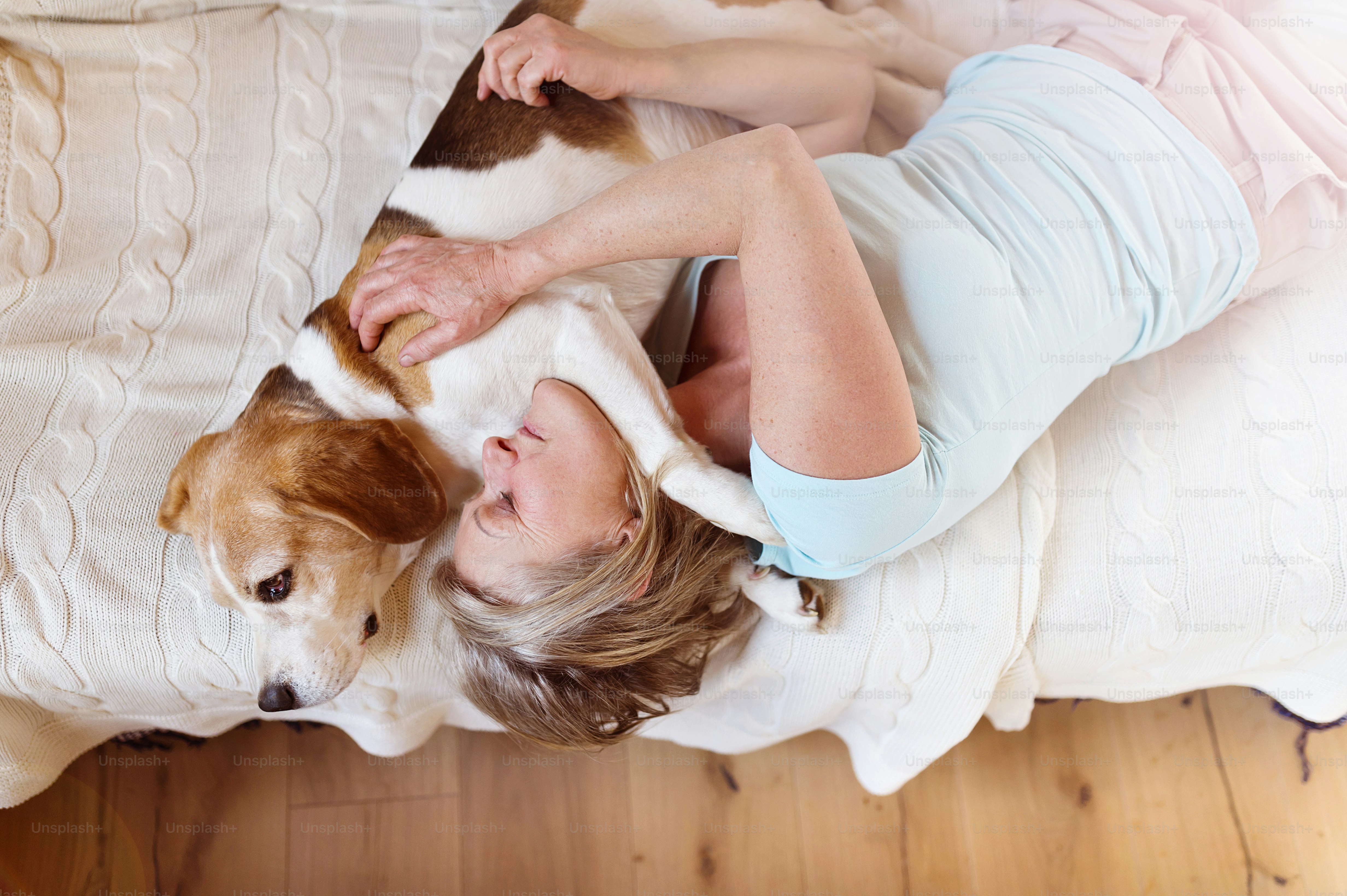 9 Signs Your Pets Need Brain Stimulation