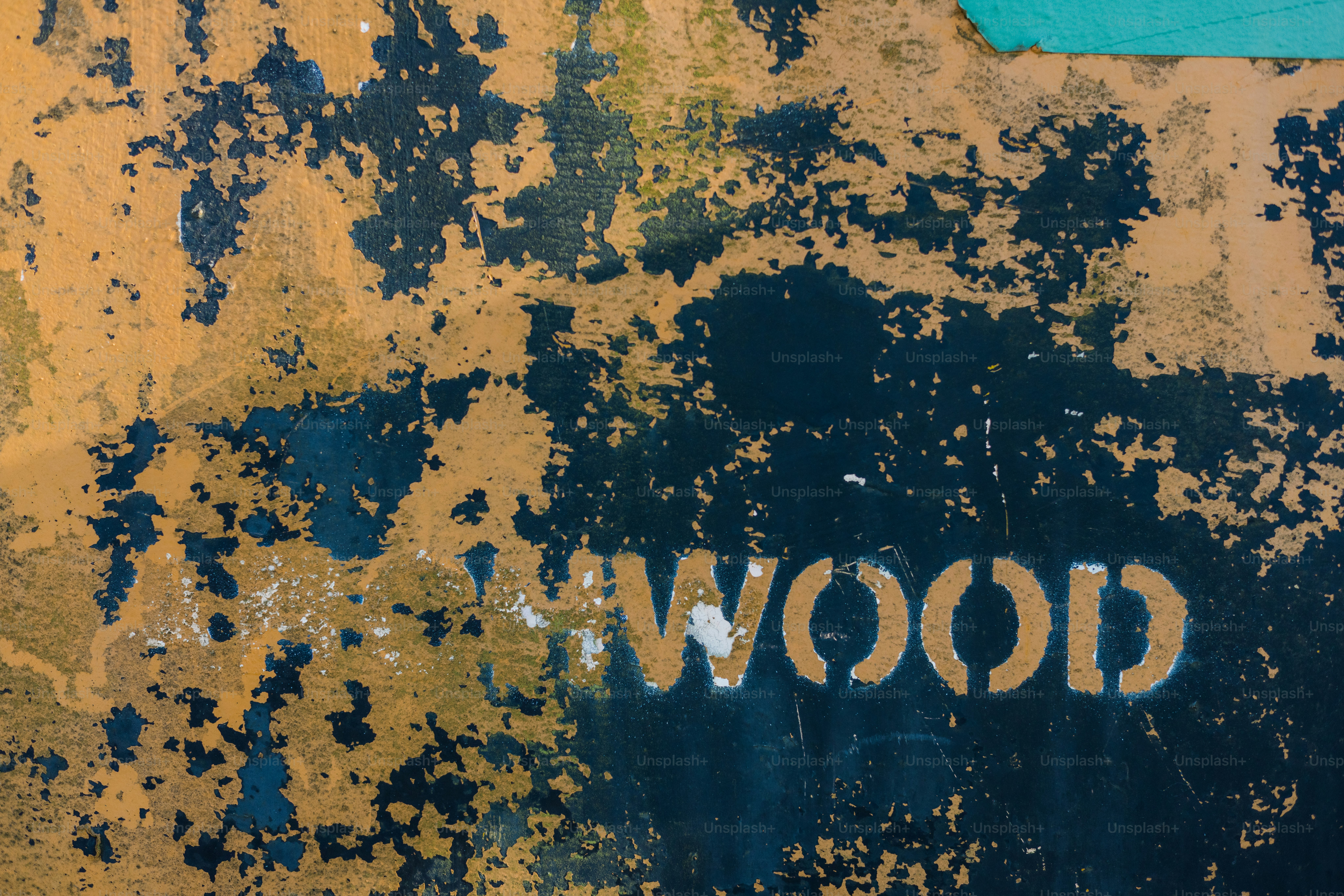 6 Signs You Have a Woodchuck Problem