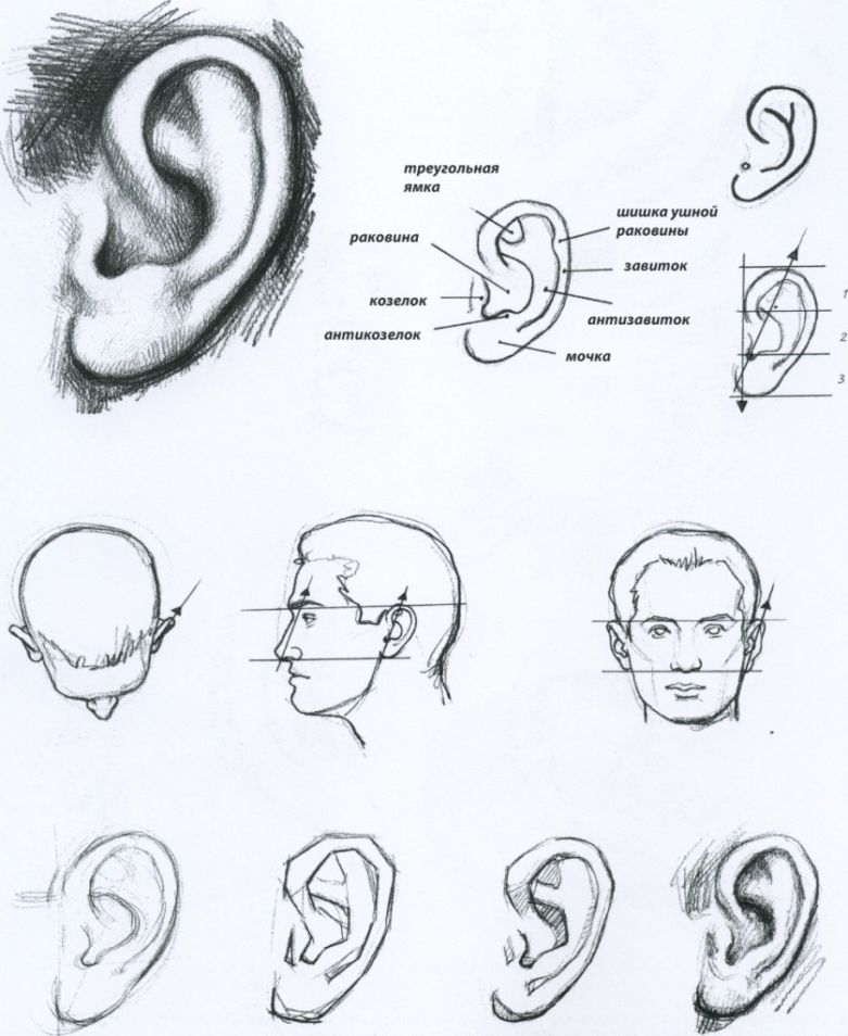 как одеть нарисованного человека